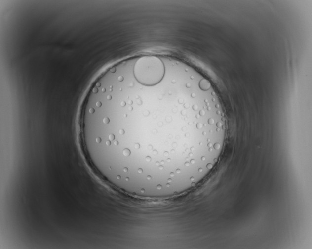 X0000099471471200805090803