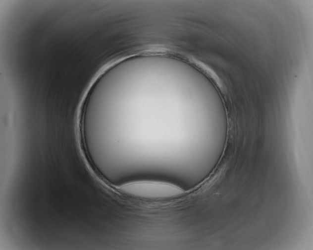 X0000099471475200805090803