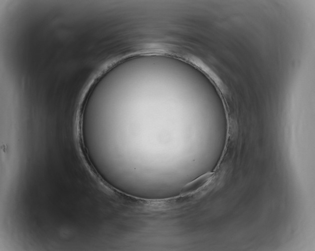X0000099471477200805090803