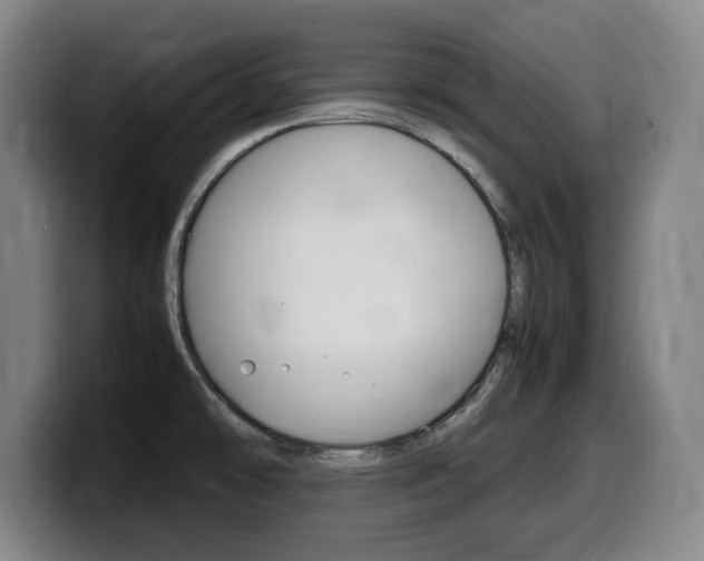X0000099471478200805090803
