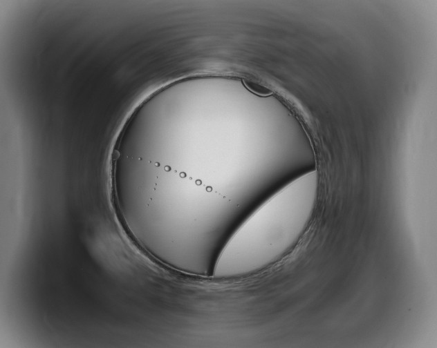 X0000099471479200805090803