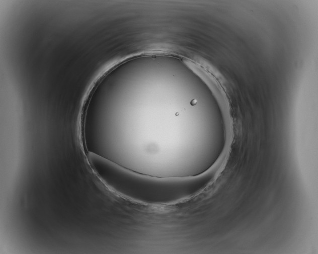 X0000099471480200805090803
