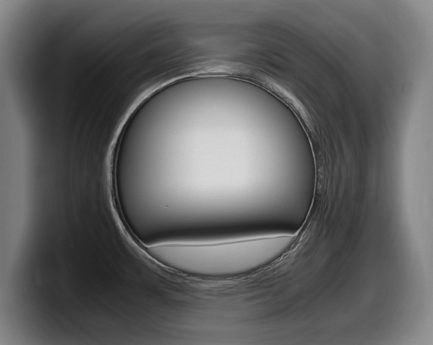 X0000099471483200805090803