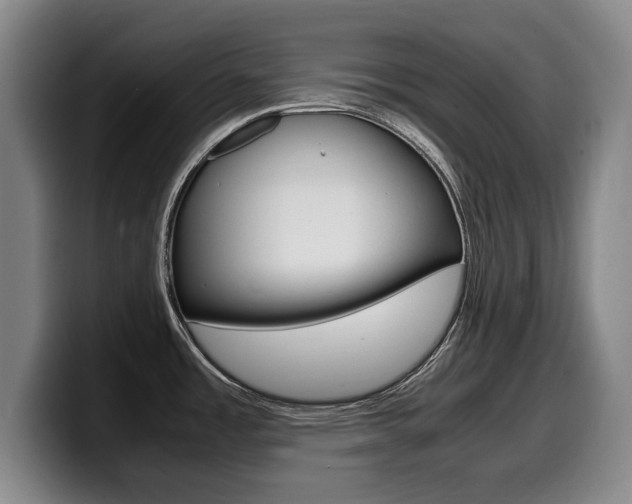 X0000099471485200805090803
