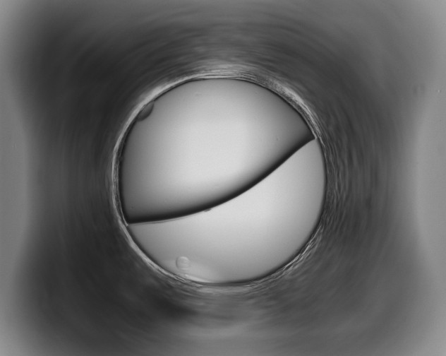 X0000099471487200805090803