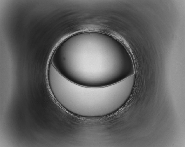 X0000099471488200805090803