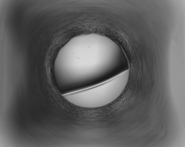 X0000099471489200805090803