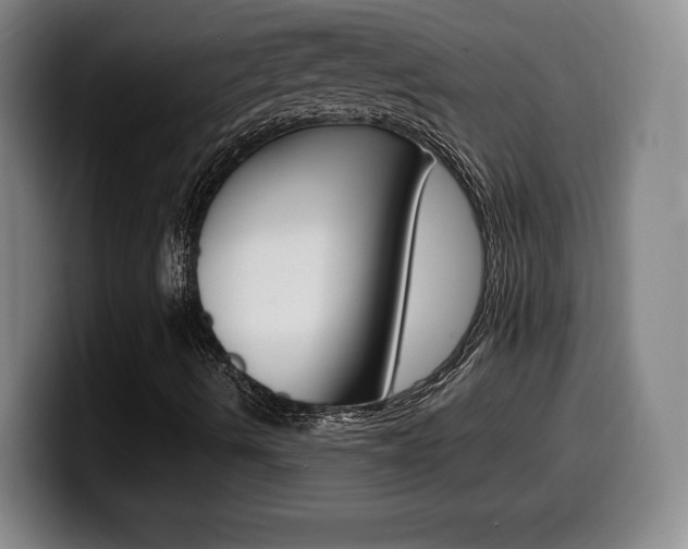 X0000099471490200805090803