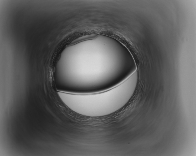 X0000099471492200805090803