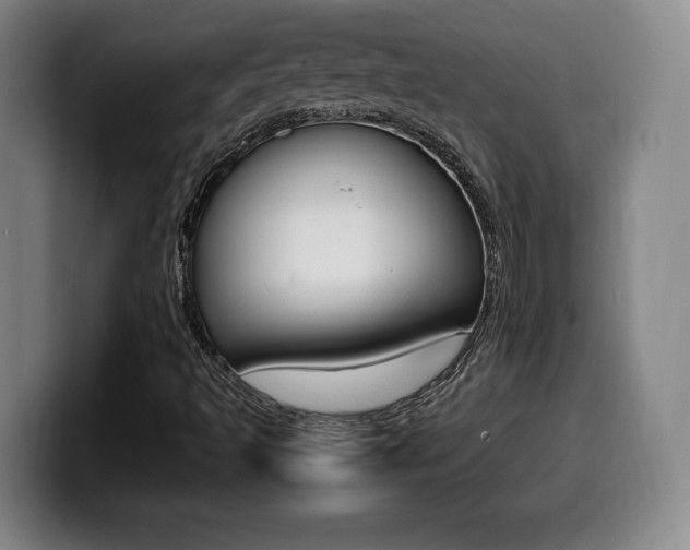 X0000099471493200805090803