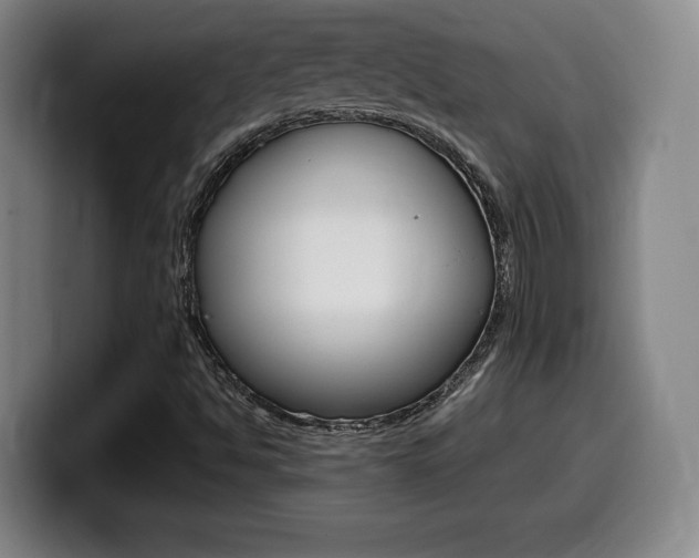 X0000099471494200805090803