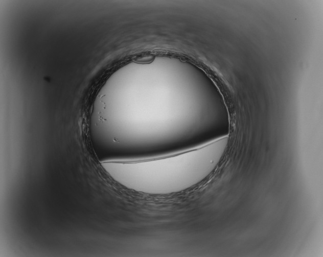X0000099471495200805090803