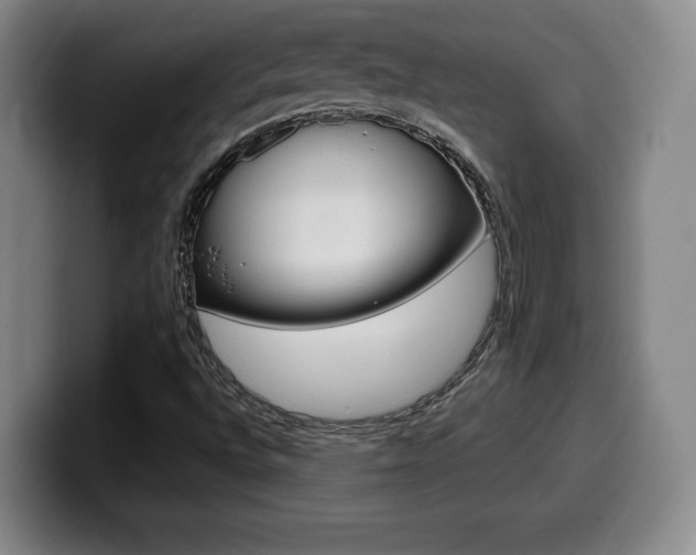 X0000099471496200805090803