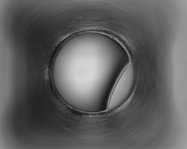 X0000099471497200805090803