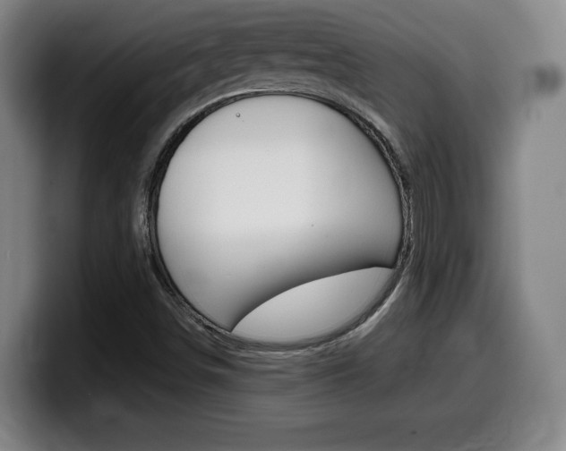 X0000099471498200805090803