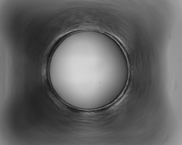 X0000099471499200805090803