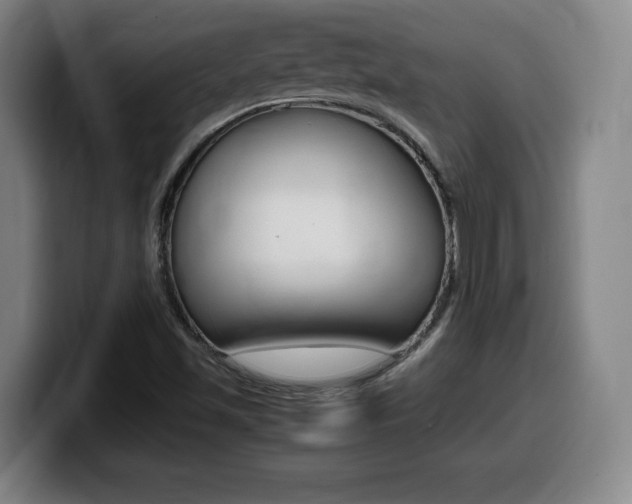 X0000099471501200805090803