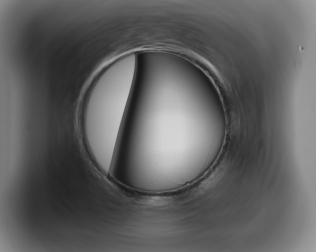 X0000099471506200805090803