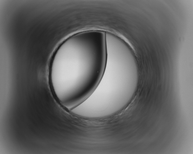 X0000099471508200805090803