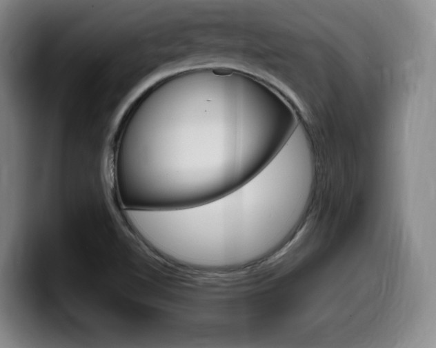 X0000099471510200805090803