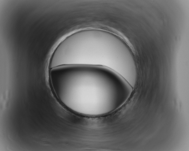 X0000099471512200805090803
