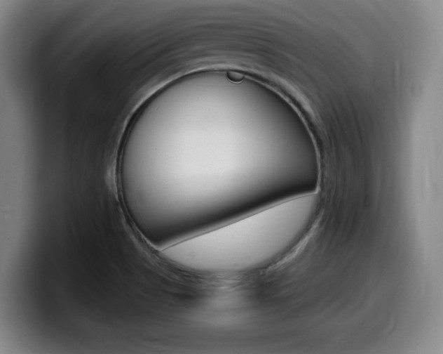 X0000099471513200805090803