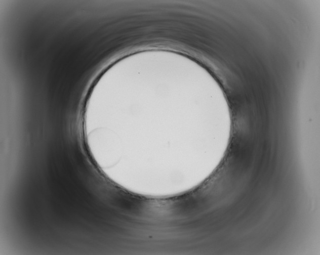 X0000099471514200805090803