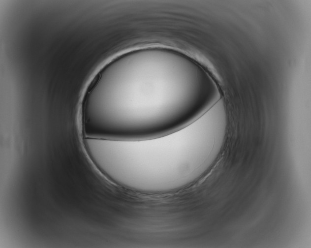 X0000099471516200805090803
