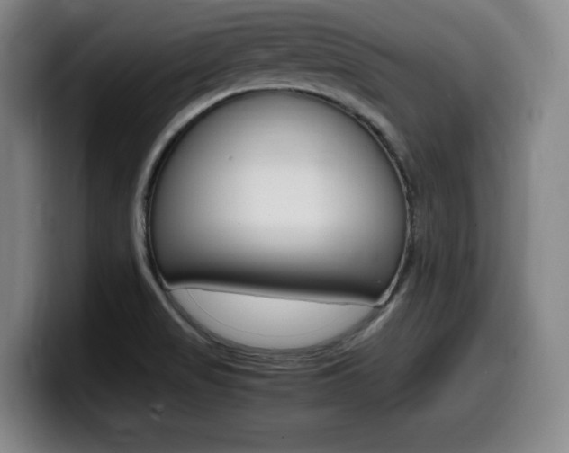 X0000099471517200805090803
