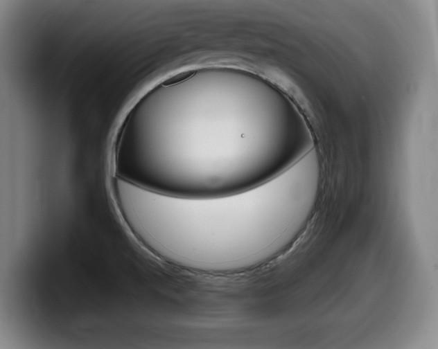 X0000099471520200805090803
