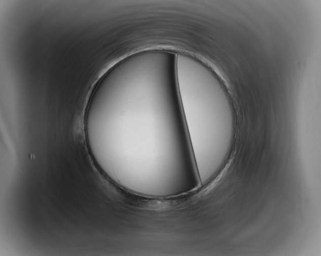 X0000099471521200805090803