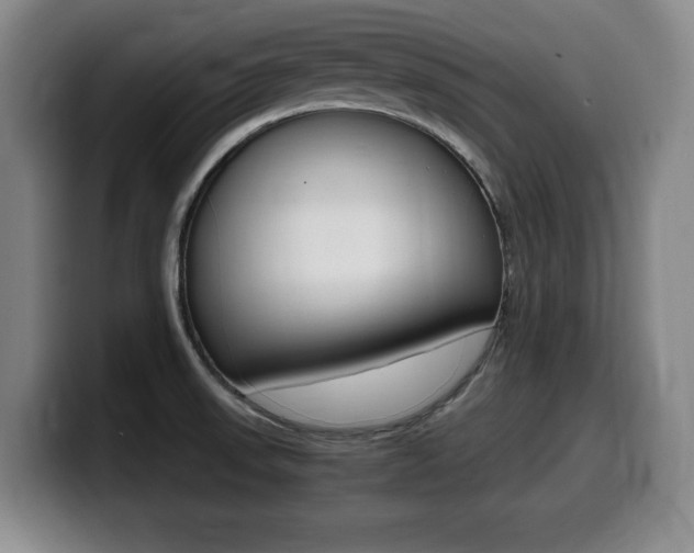 X0000099471523200805090803
