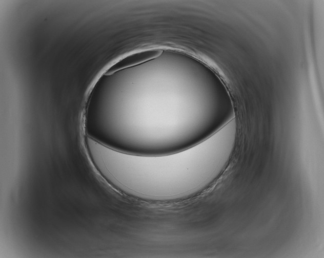 X0000099471524200805090803