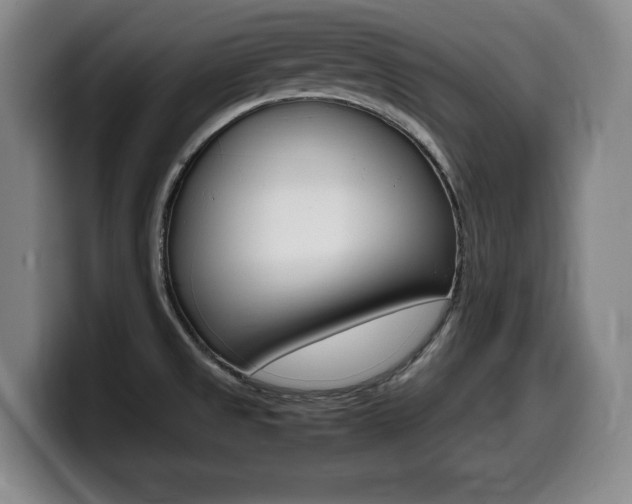 X0000099471525200805090803