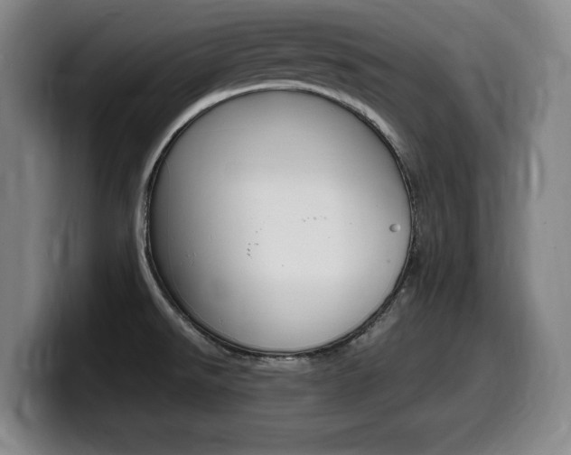 X0000099471526200805090803