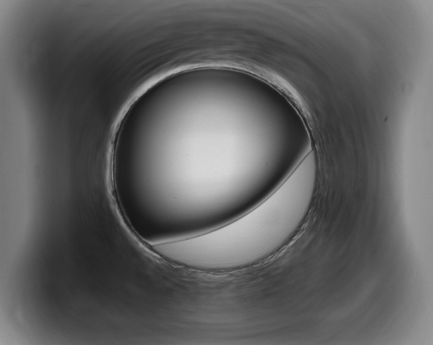 X0000099471528200805090803