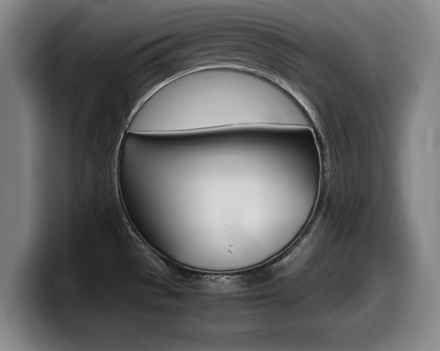 X0000099471529200805090803