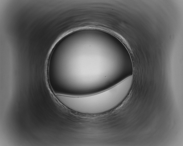 X0000099471530200805090803