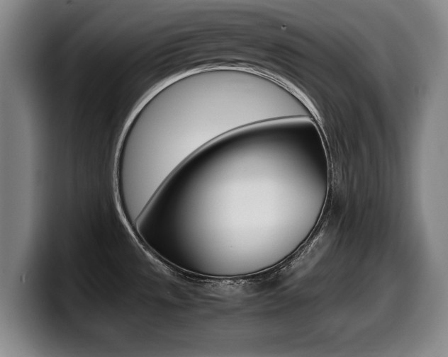 X0000099471533200805090803