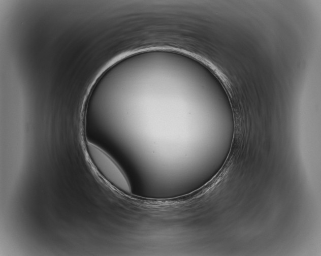 X0000099471534200805090803