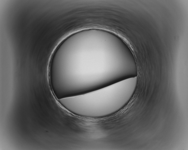 X0000099471535200805090803