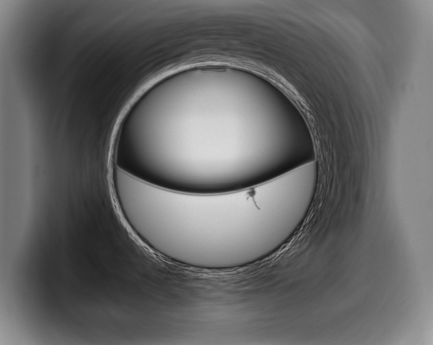 X0000099471536200805090803