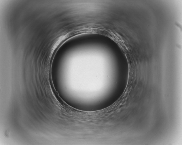 X0000099470003200805091557