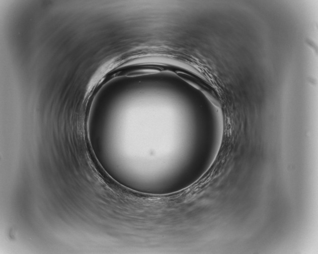 X0000099470004200805091557