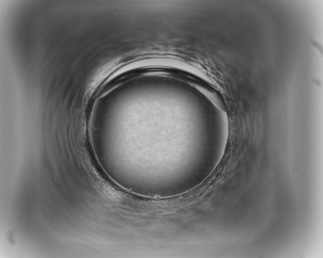 X0000099470005200805091557