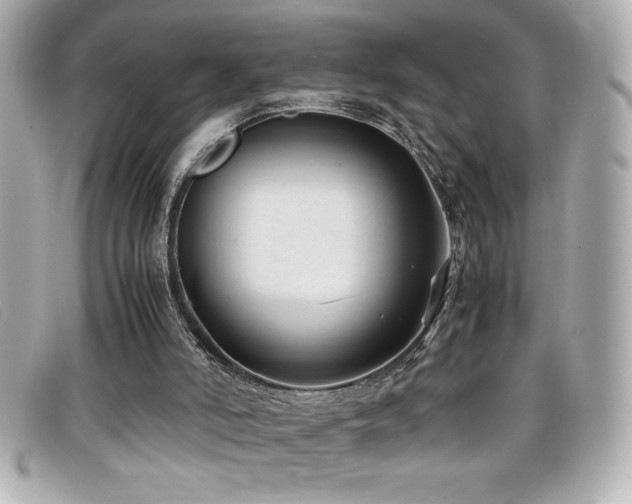 X0000099470006200805091557