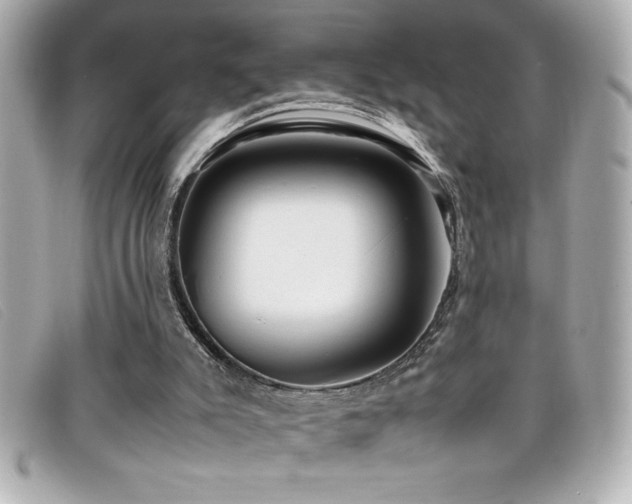 X0000099470007200805091557