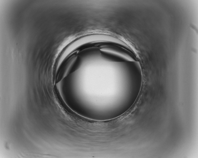 X0000099470008200805091557