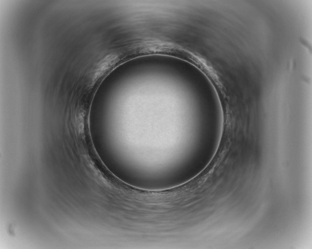 X0000099470010200805091557