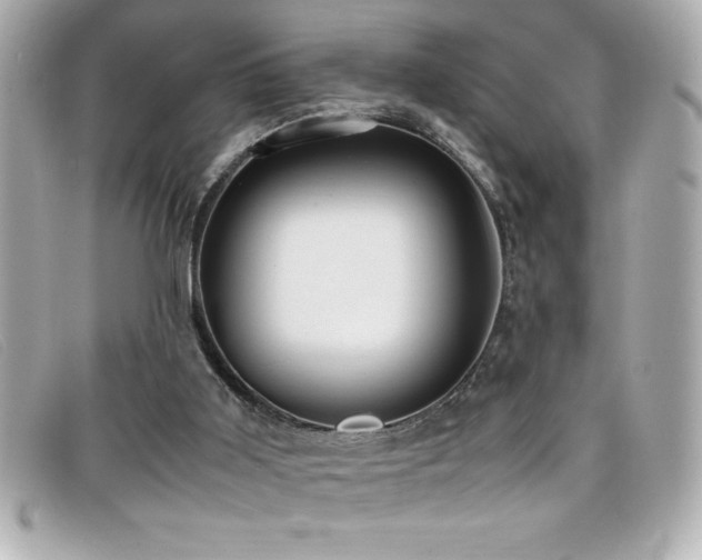 X0000099470011200805091557